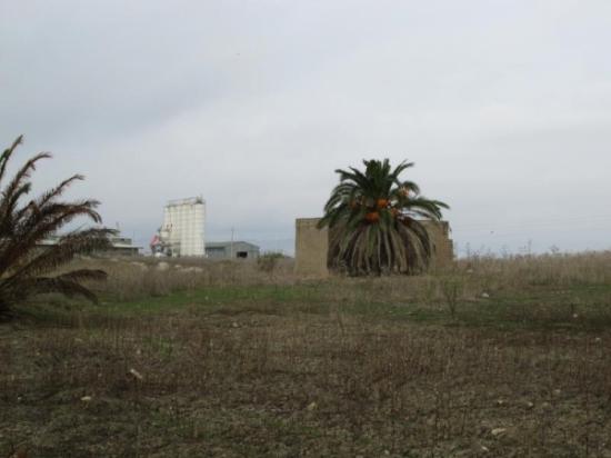 Vendita terreno agricolo a Licata